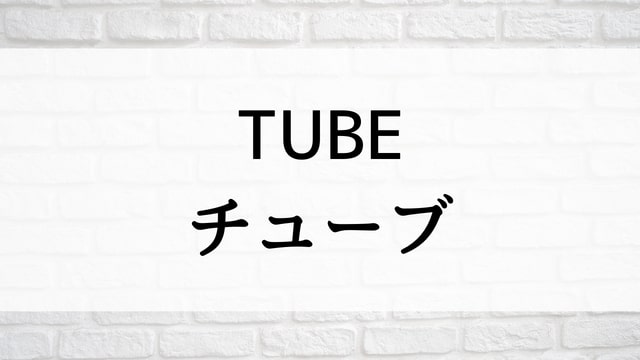 【TUBE－チューブ－】韓国映画が現在ネット再配信中の動画配信サービス無料比較情報・おすすめ10選を早見一覧表でまとめてわかる｜テレビ放送予定・再放送で見逃した韓流映画をフル視聴するVOD方法
