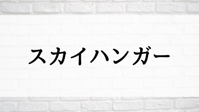 【スカイハンガー】映画が現在見逃しネット再配信中の動画配信サービス無料比較情報｜おすすめ10選を早見一覧表でまとめてわかる！｜テレビ放送予定・再放送で見逃した洋画をフル視聴するVOD方法