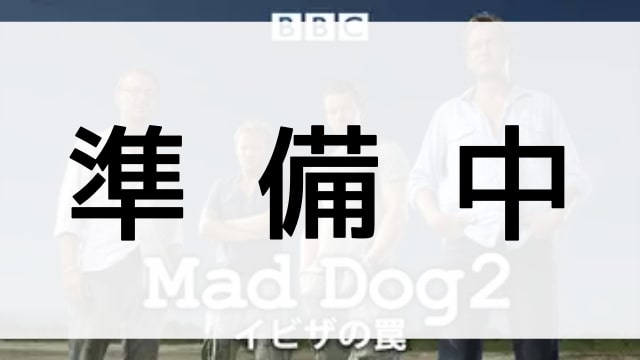 【MAD DOG２／イビサの罠】の登場人物相関図