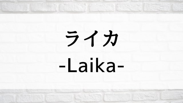 【ライカ-Laika-】日本映画が現在見逃しネット再配信中の動画配信サービス無料比較情報・おすすめ10選を早見一覧表でまとめてわかる｜テレビ放送予定で見逃した邦画をフル視聴で見るVOD方法