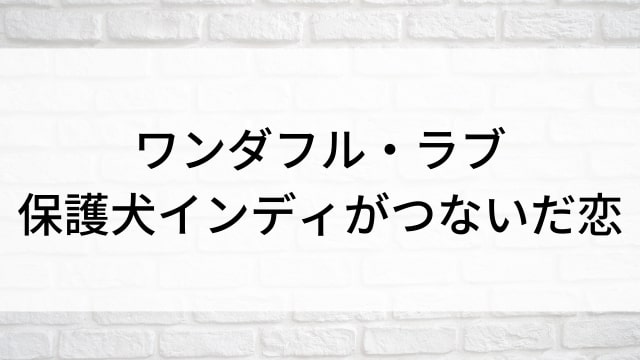 【ワンダフル・ラブ　保護犬インディがつないだ恋】海外映画がNetflix・Hulu・アマプラで見逃し無料配信で見れる？｜おすすめサブスク動画配信サービス・SVOD12選！｜テレビ放送予定・再放送で見逃した洋画をフル視聴するVOD方法