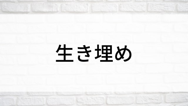 【生き埋め】海外映画がNetflix・Hulu・Disney+で見逃し無料配信で見れる？｜おすすめサブスク動画配信サービス・SVOD12選！｜テレビ放送予定・再放送で見逃した洋画をフル視聴するVOD方法