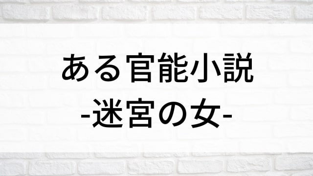 【ある官能小説-迷宮の女-】海外映画がNetflix・Hulu・Disney+で見逃し無料配信で見れる？｜おすすめサブスク動画配信サービス・SVOD12選！｜テレビ放送予定・再放送で見逃した洋画をフル視聴するVOD方法