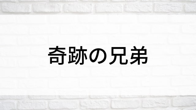 【奇跡の兄弟(全32話)】韓国ドラマがNetflix・Hulu・Disney+で見逃し無料配信で見れる？｜おすすめ韓流ミステリー・サスペンス・ヒューマンドラマ｜テレビ放送予定・再放送で見逃したドラマを全話フル視聴するVOD方法｜登場人物相関図&あらすじ(第1話〜最終回)