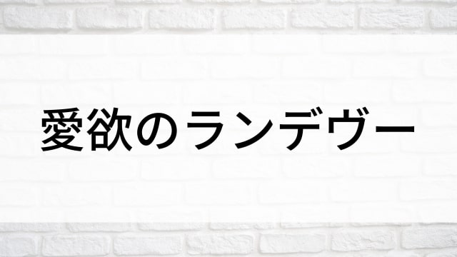 【愛欲のランデヴー】海外映画がNetflix・Hulu・Disney+で見逃し無料配信で見れる？｜おすすめサブスク動画配信サービス・SVOD12選！｜テレビ放送予定・再放送で見逃した洋画をフル視聴するVOD方法