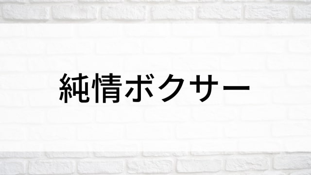 【純情ボクサー(全12話)】韓国ドラマがNetflix・Hulu・Disney+で見逃し無料配信で見れる？｜おすすめ韓流ボクシング・スポーツ成長ドラマ｜テレビ放送予定・再放送で見逃したドラマを全話フル視聴するVOD方法｜登場人物相関図&あらすじ(第1話〜最終回)