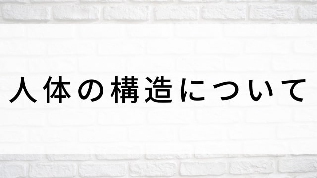【人体の構造について】海外映画がNetflix・Hulu・Disney+で見逃し無料配信で見れる?|おすすめサブスク動画配信サービス・SVOD12選!|テレビ放送予定・再放送で見逃した洋画をフル視聴するVOD方法