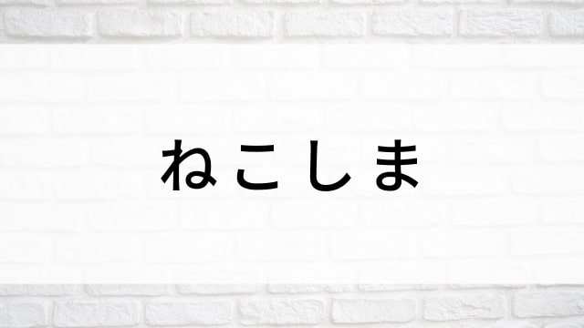 【ねこしま】海外映画がNetflix・Hulu・Disney+で見逃し無料配信で見れる？｜おすすめサブスク動画配信サービス・SVOD12選！｜テレビ放送予定・再放送で見逃した洋画をフル視聴するVOD方法