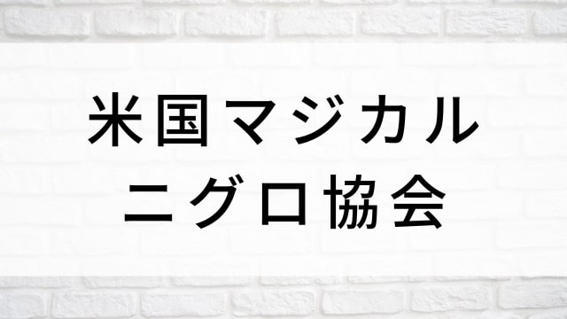 【米国マジカル・ニグロ協会】海外映画がNetflix・Hulu・Disney+で見逃し無料配信で見れる?|おすすめサブスク動画配信サービス・SVOD12選!|テレビ放送予定・再放送で見逃した洋画をフル視聴するVOD方法