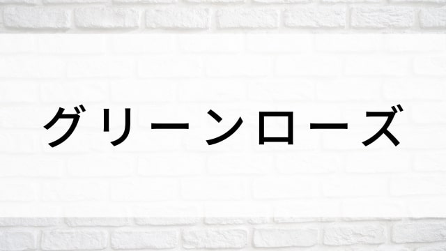 【グリーンローズ(全22話)】韓国ドラマがNetflix・Hulu・Disney+で見逃し無料配信で見れる?|おすすめ韓流サスペンスラブストーリー・復讐劇ドラマ|テレビ放送予定・再放送で見逃したドラマを全話フル視聴するVOD方法|登場人物相関図&あらすじ(第1話〜最終回)